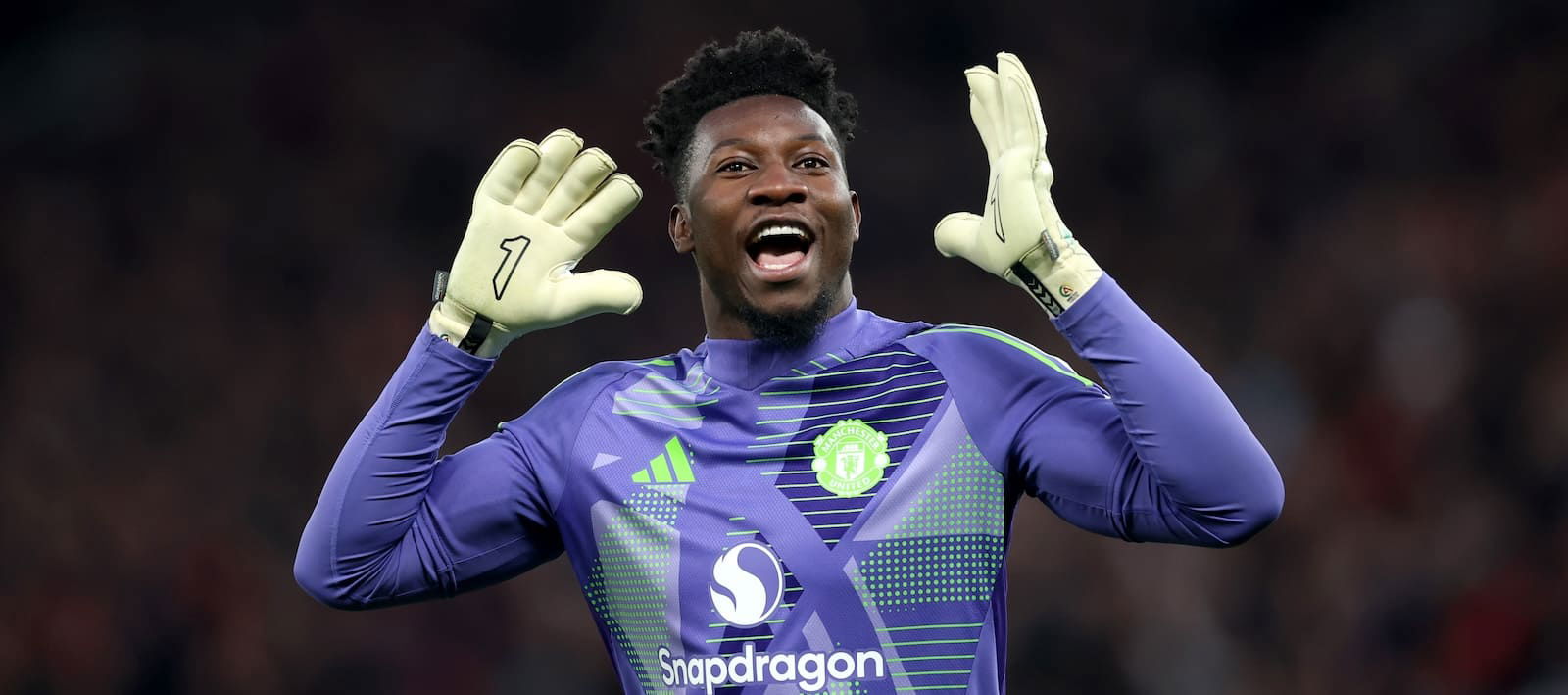 Former Man United assistant manager Mitchell van der Gaag opens up on why Andre Onana has struggled this season – Man United News And Transfer News