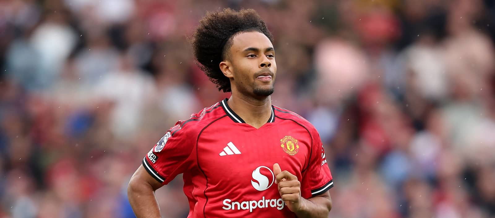 Joshua Zirkzee’s price tag set as Brighton storm into race for Man United star – Man United News And Transfer News